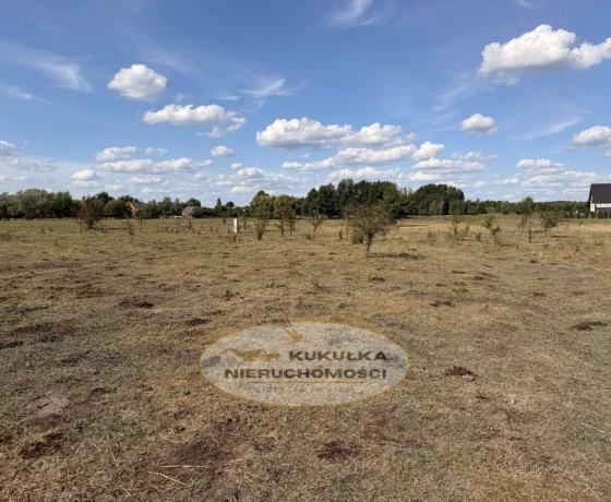 Borek - 55000 zł (nr 262/2364/OGS)