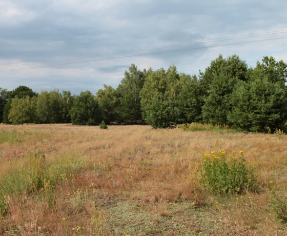 Baczyna - 149000 zł (nr 1066/2301/OGS)