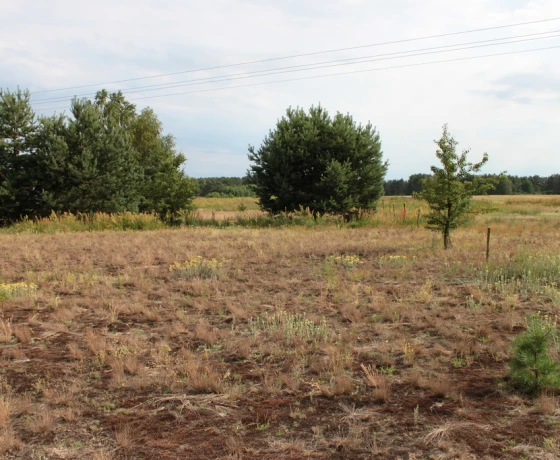 Baczyna - 149000 zł (nr 1066/2301/OGS)