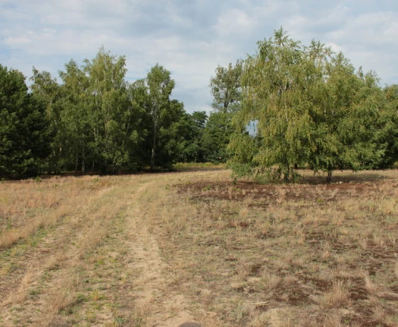 Baczyna - 149000 zł (nr 1066/2301/OGS)