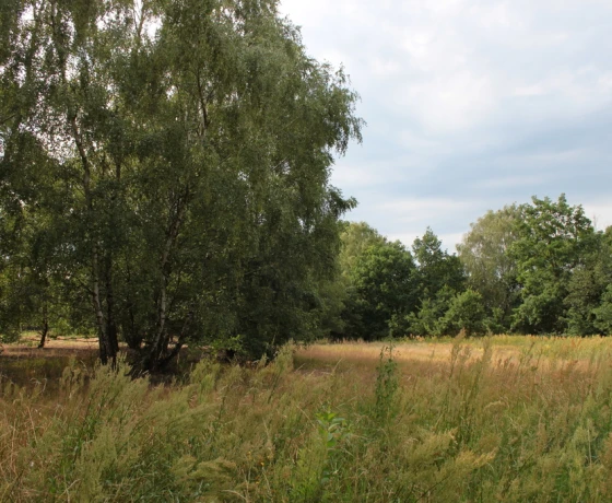Działka na sprzedaż, Baczyna - 149 000 zł