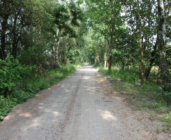 Baczyna - 149000 zł (nr 1066/2301/OGS)