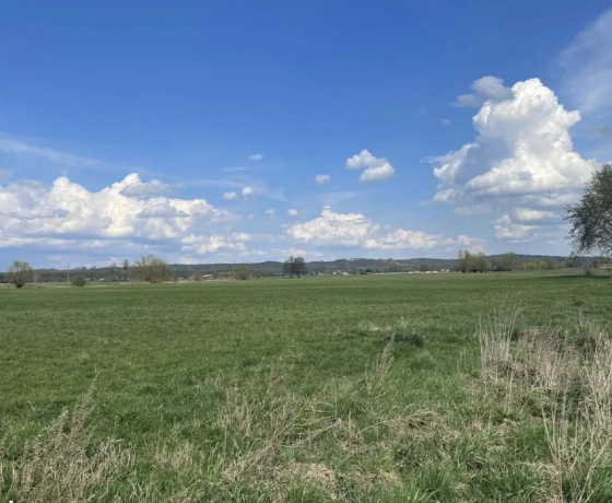 Działka na sprzedaż, Pyrzany - 99 000 zł
