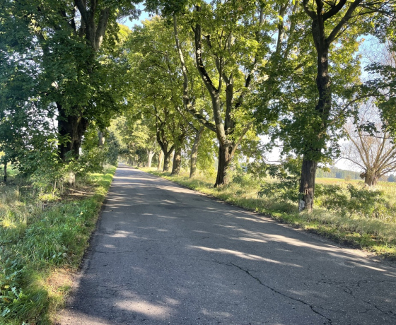 Działka na sprzedaż, Pyrzany - 139 000 zł