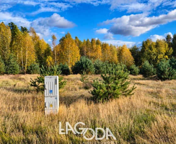 Działka na sprzedaż, Trzcinna - 59 200 zł