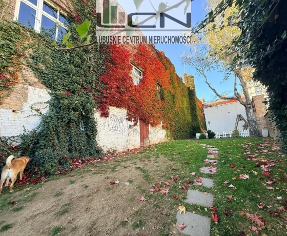 Lokal na wynajem, Gorzów Wielkopolski - 5 500 zł