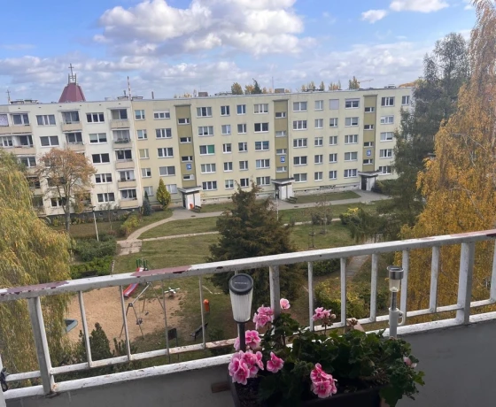 Gorzów Wielkopolski - 343000 zł (nr 23/15685/OMS)