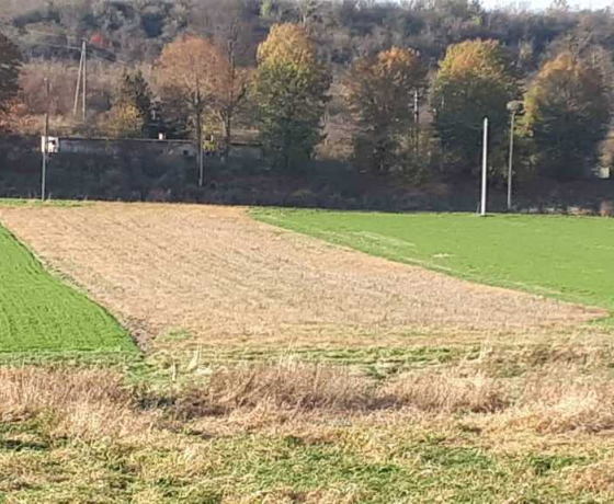 Działka na sprzedaż, Santok - 155 000 zł