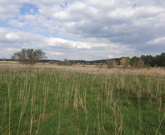Działka na sprzedaż, Łośno - 90 000 zł