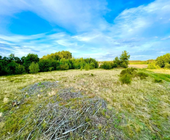 Działka na sprzedaż, Gorzów Wielkopolski, Zieleniec - 90 250 zł