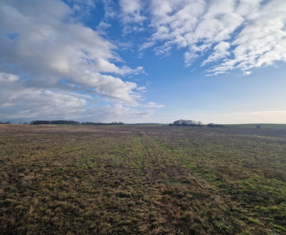 Działka na sprzedaż, Janczewo - 99 000 zł