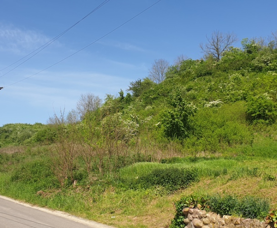 Działka na sprzedaż, Santok - 96 000 zł