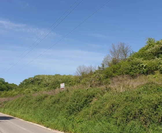 Santok, Szkolna - 96000 zł (nr 680/8967/OGS)