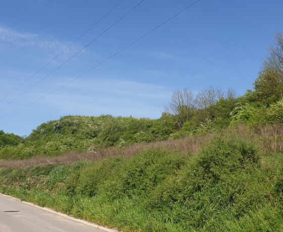 Santok, Szkolna - 96000 zł (nr 680/8967/OGS)