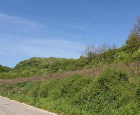 Santok, Szkolna - 96000 zł (nr 680/8967/OGS)