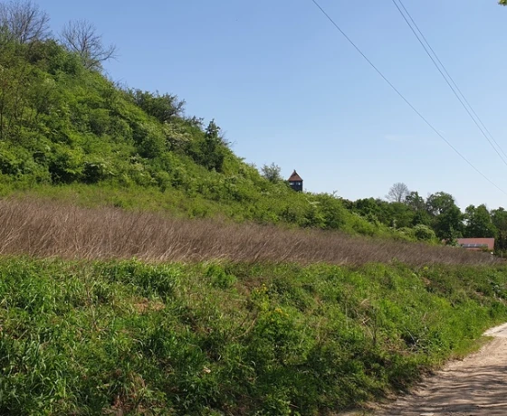 Santok, Szkolna - 96000 zł (nr 680/8967/OGS)