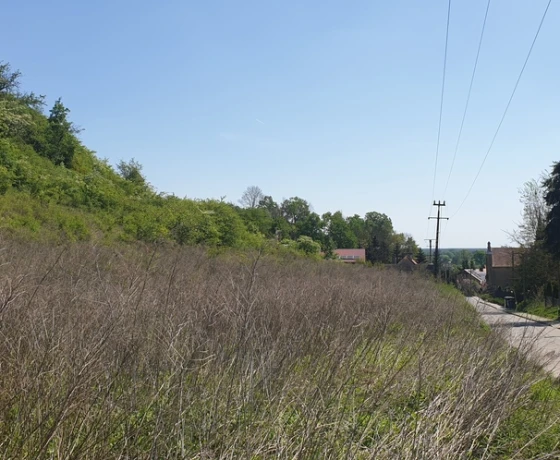 Santok, Szkolna - 96000 zł (nr 680/8967/OGS)