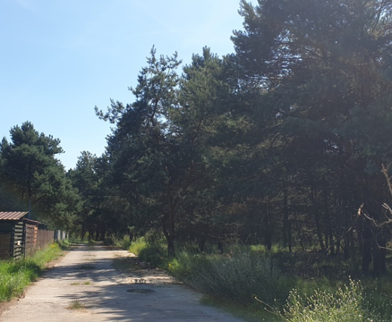 Łośno, Porankowa - 109000 zł (nr 690/8967/OGS)