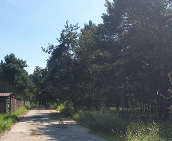 Łośno, Porankowa - 109000 zł (nr 690/8967/OGS)