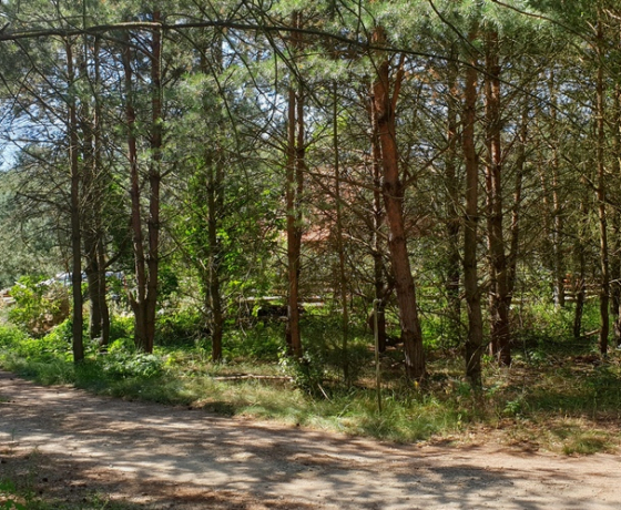 Łośno, Porankowa - 109000 zł (nr 690/8967/OGS)