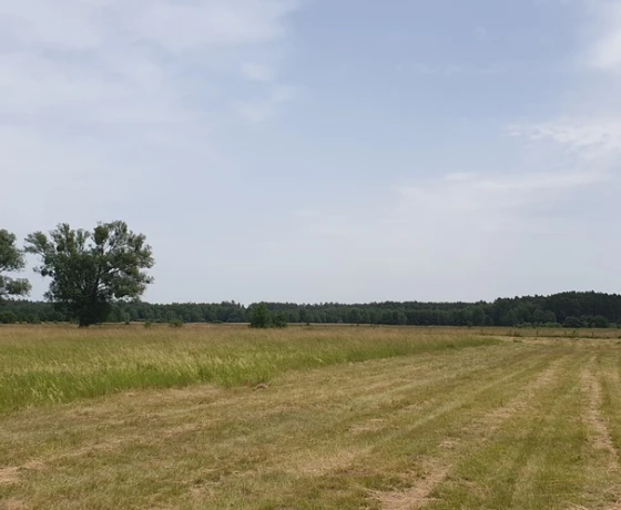 Wysoka - 380320 zł (nr 691/8967/OGS)