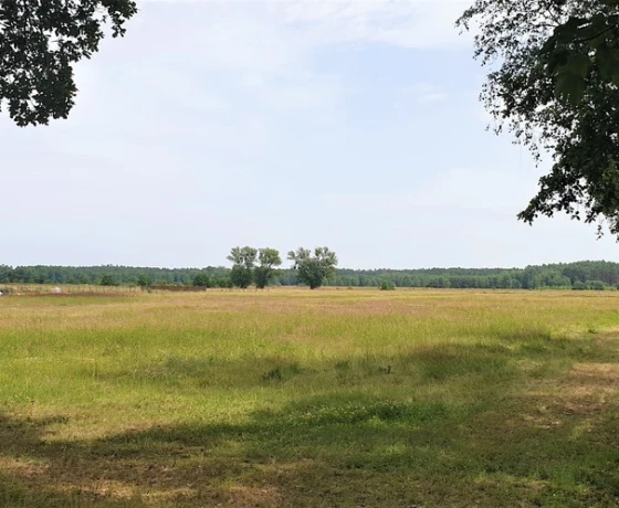 Działka na sprzedaż, Wysoka - 380 320 zł