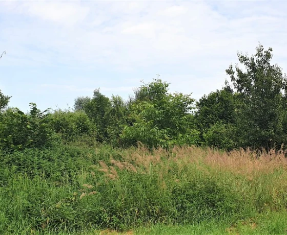 Gorzów Wielkopolski, Siedlice, Zachodnia - 159000 zł (nr 692/8967/OGS)