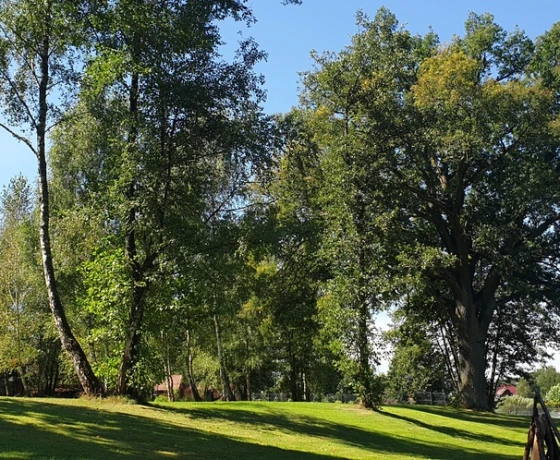 Różanki - 280000 zł (nr 697/8967/OGS)