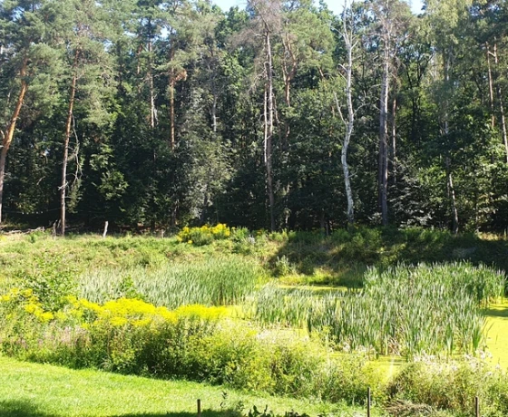 Różanki - 280000 zł (nr 697/8967/OGS)