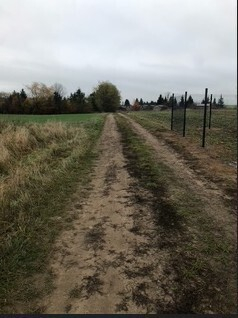 Dziedzice - 499000 zł (nr 119/8967/OOS)