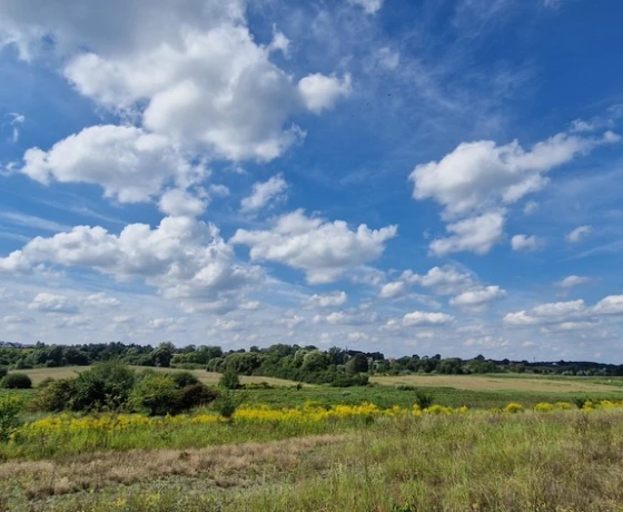 Działka na sprzedaż, Chwalęcice - 503 720 zł