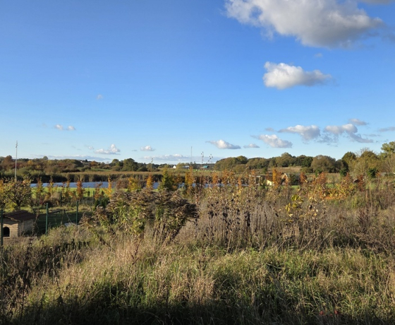 Gorzów Wielkopolski, Os. Piaski - 1950000 zł (nr 523/8967/ODS)