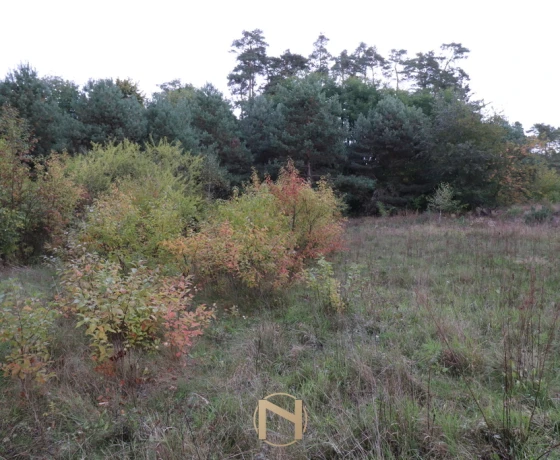 Działka na sprzedaż, Mironice - 200 000 zł