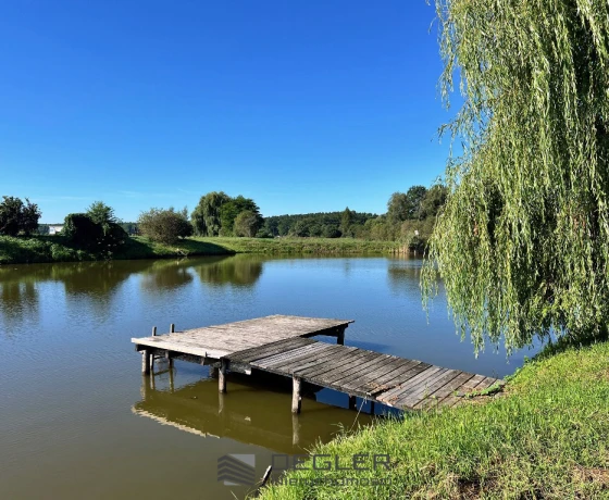 Rzepinek, Sokola - 895000 zł (nr 376/7162/ODS)