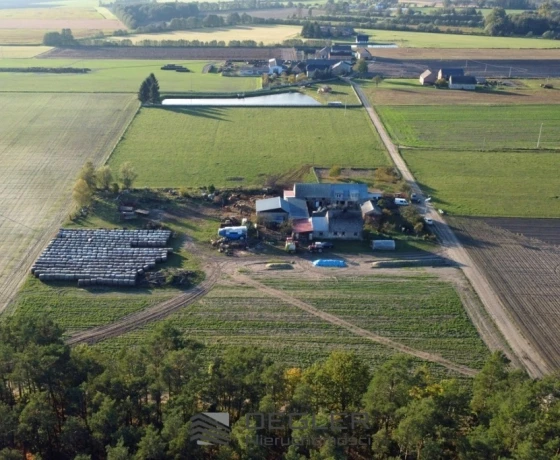 Nowe Polichno - 179000 zł (nr 420/7162/OGS)