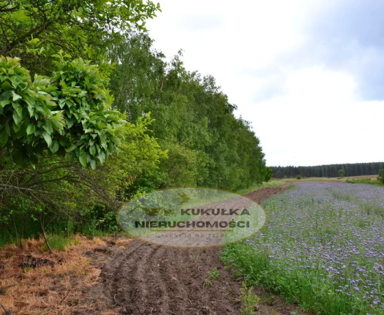 Działka na sprzedaż, Giżyn - 100 000 zł