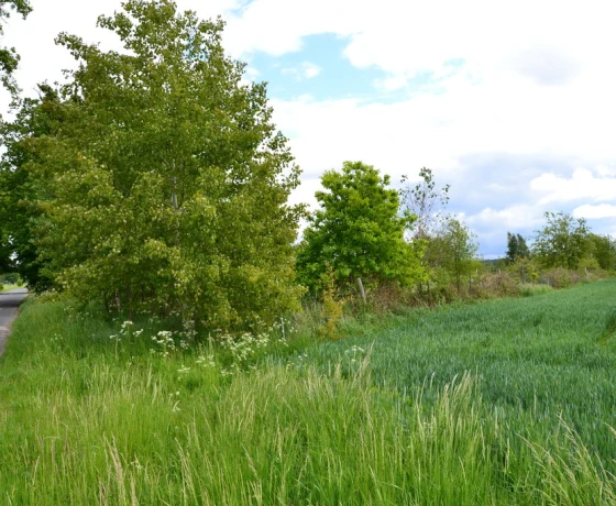 Giżyn - 100000 zł (nr 217/2364/OGS)