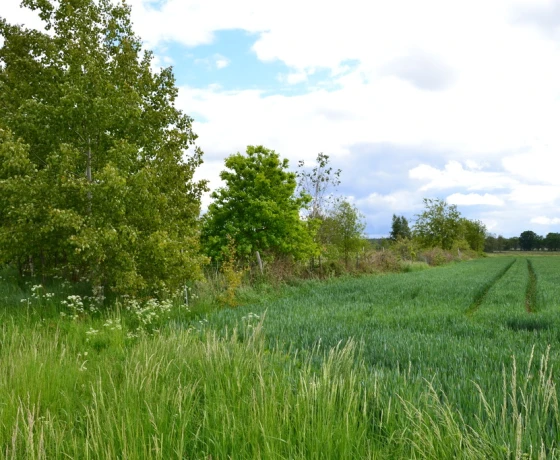 Giżyn - 100000 zł (nr 217/2364/OGS)