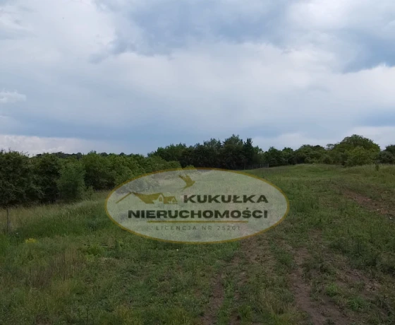 Myślibórz - 400000 zł (nr 232/2364/OGS)