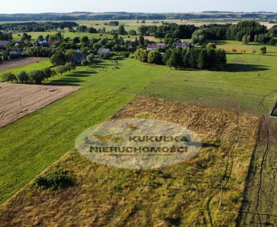 Borek - 70000 zł (nr 233/2364/OGS)