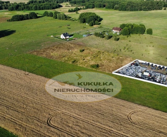 Borek - 70000 zł (nr 233/2364/OGS)