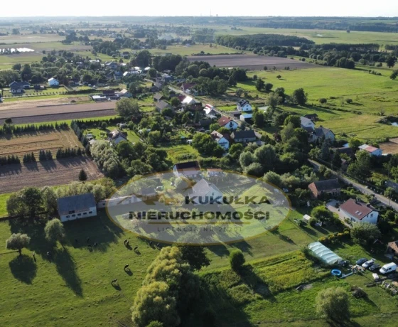 Borek - 300000 zł (nr 234/2364/OGS)
