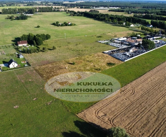 Borek - 300000 zł (nr 234/2364/OGS)