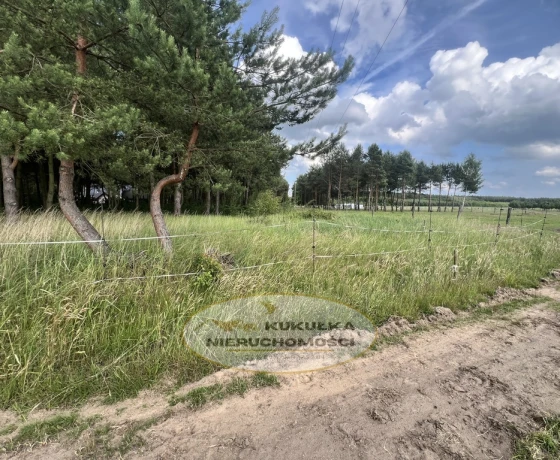 Danków - 152500 zł (nr 240/2364/OGS)