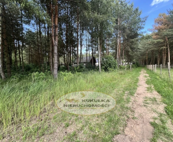 Danków - 152500 zł (nr 240/2364/OGS)