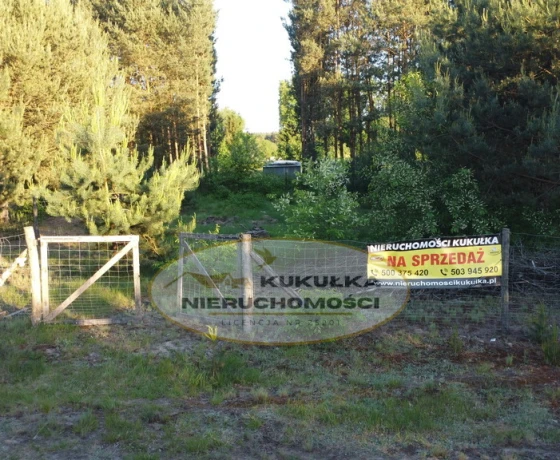 Glinik, Spokojna - 165000 zł (nr 256/2364/OGS)