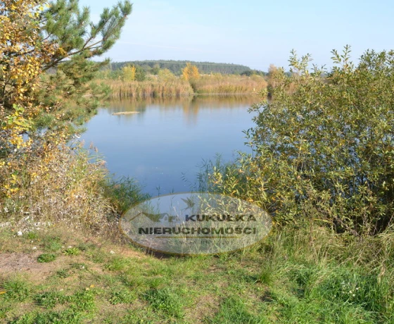 Przysieka - 160000 zł (nr 215/2364/OGS)