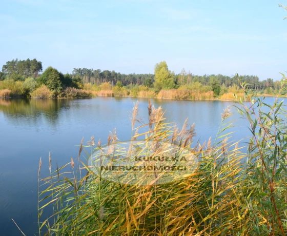 Przysieka - 160000 zł (nr 215/2364/OGS)