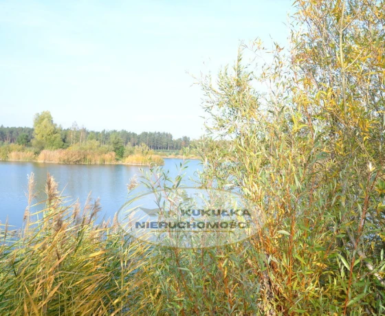 Przysieka - 160000 zł (nr 215/2364/OGS)