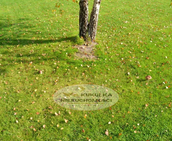 Przysieka - 160000 zł (nr 215/2364/OGS)